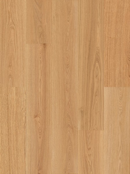 SPC Stejar Antic 6mm