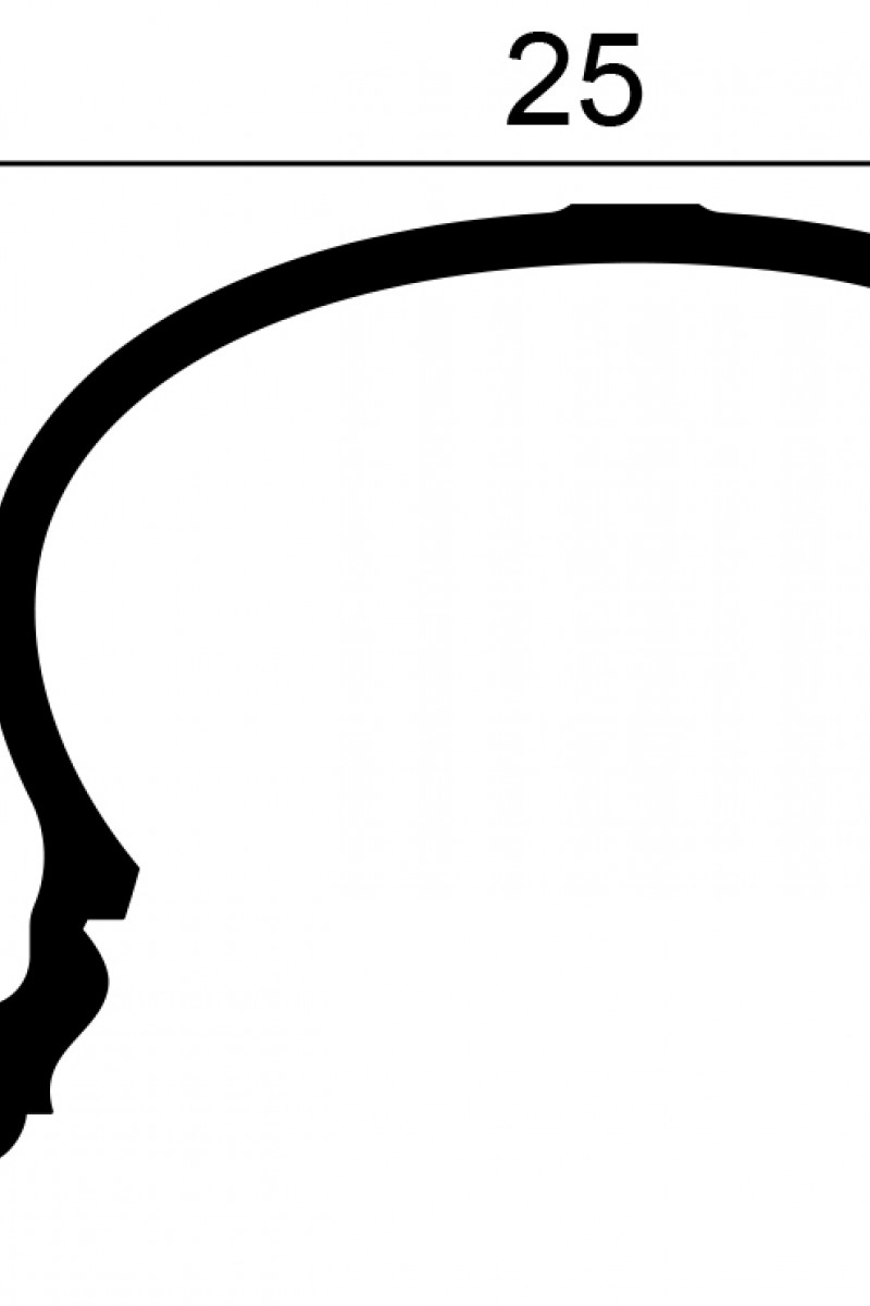 Profil Decorativ Orac Decor C343 Heritage XL