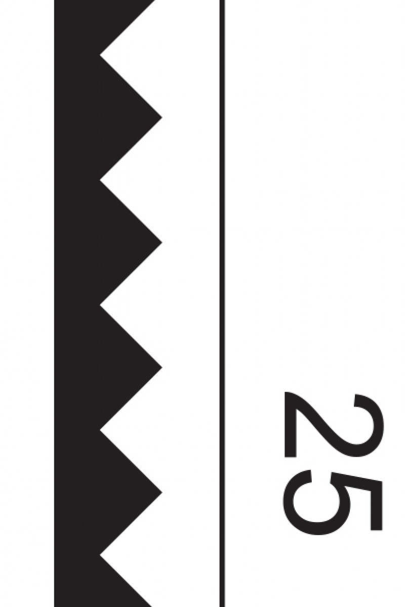 ‎Panou Decorativ 3D Orac Decor ZigZag W108