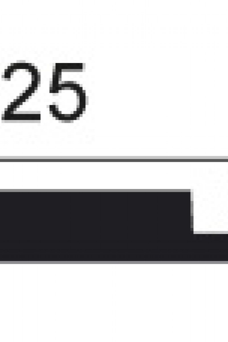 Panou Decorativ 3D Orac Decor W116 Bar XL