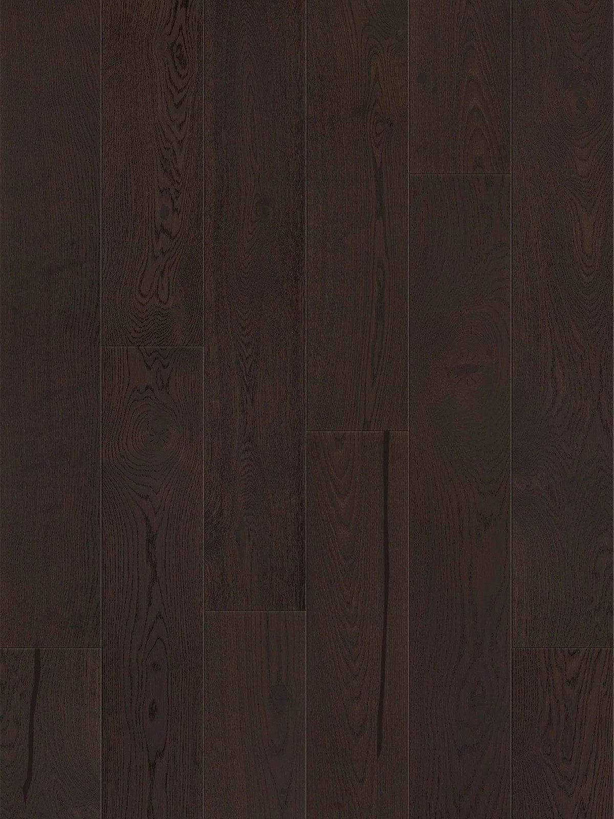 Stejar Affogato Grande