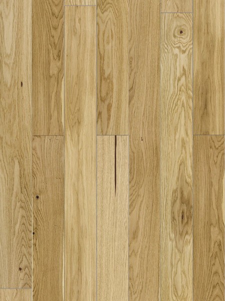 Stejar Askania Piccolo