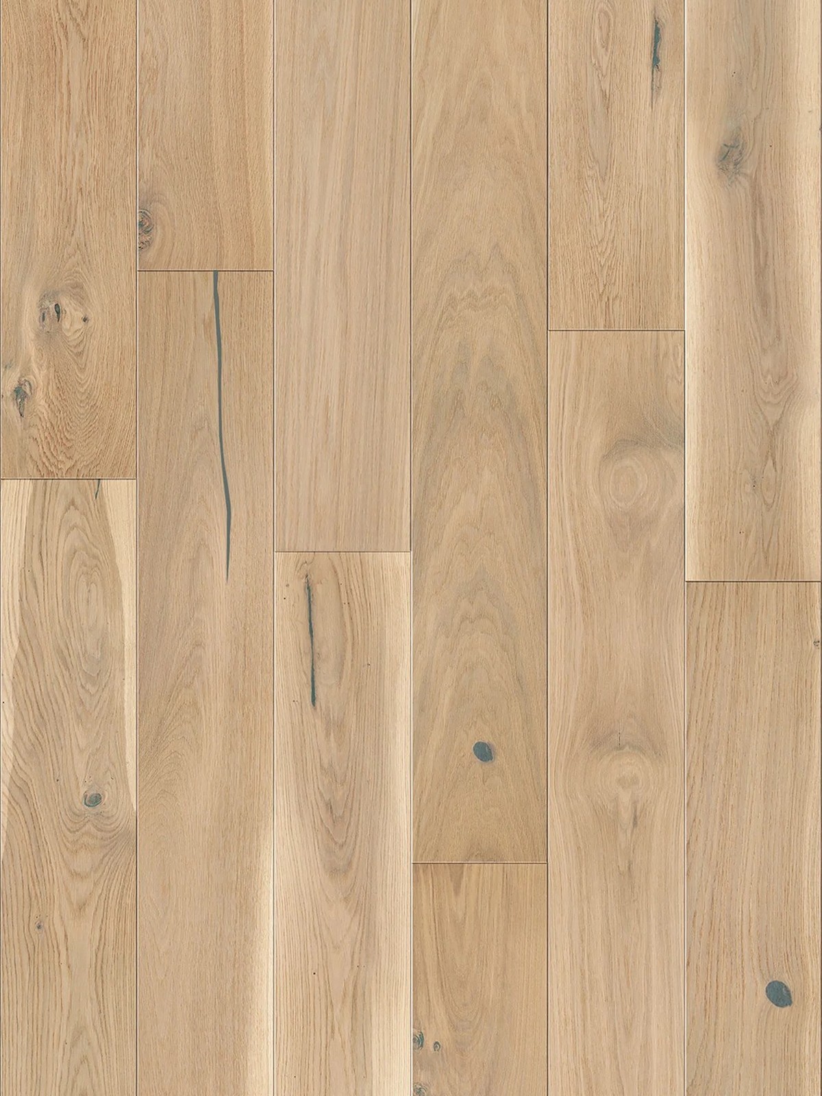 Stejar Banana Song Grande