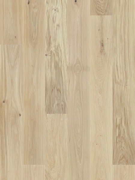 Stejar Bianco Grande