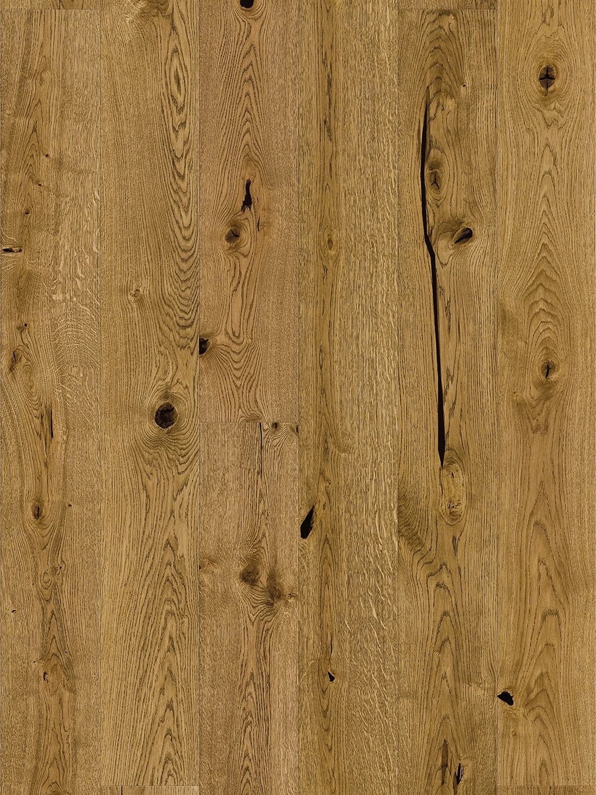 Stejar Biscotti Grande