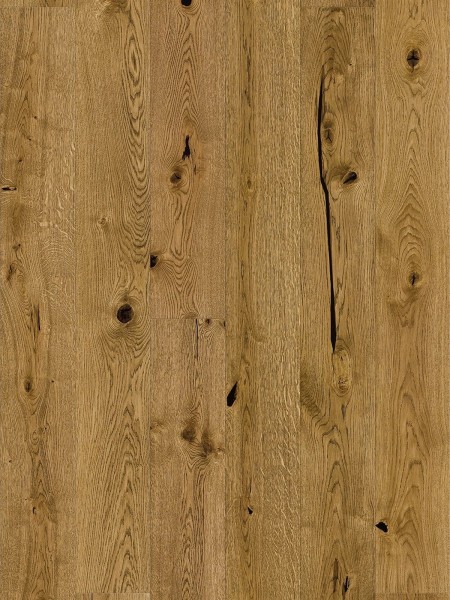 Stejar Biscotti Grande