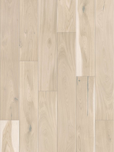 Stejar Biscuits Grande