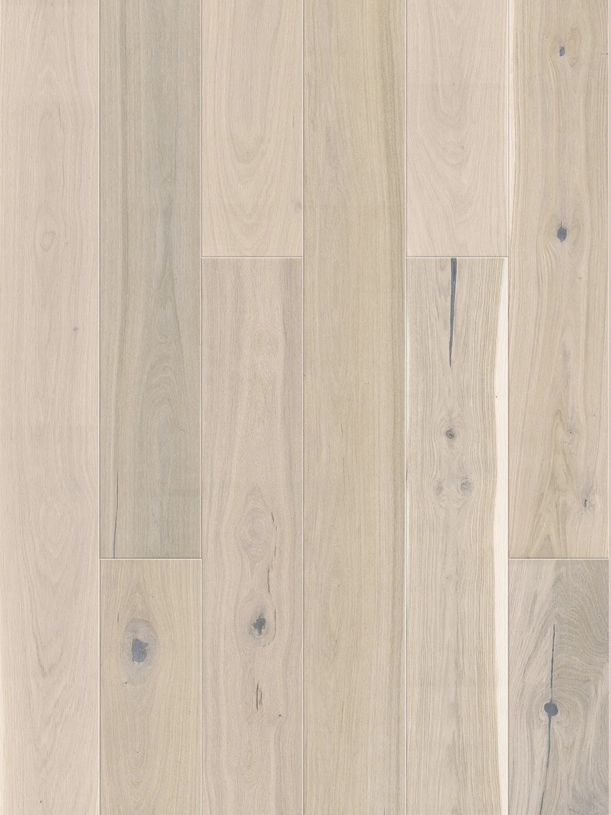 Stejar Cappuccino Grande