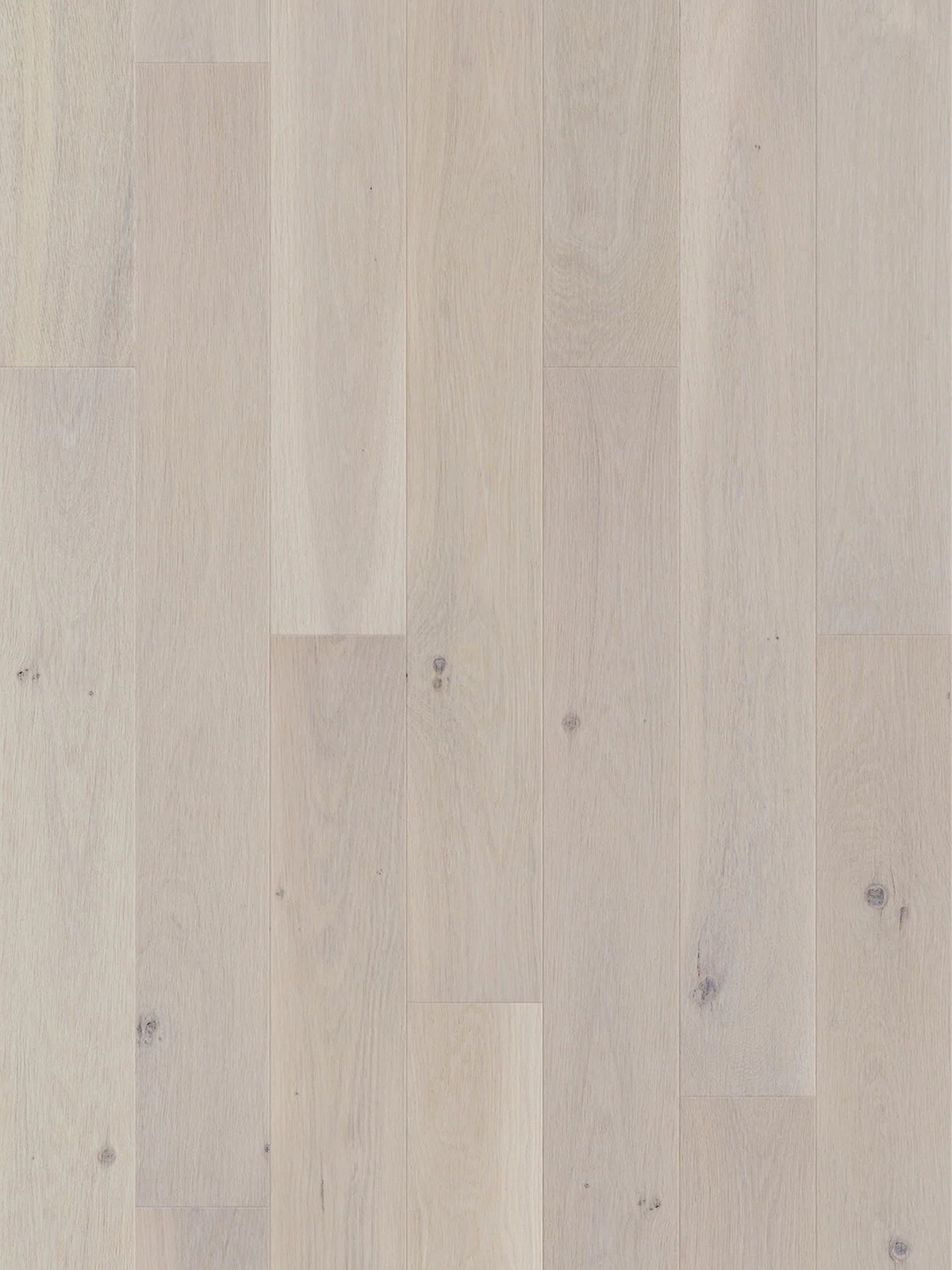 Stejar Cappuccino Piccolo Scurt