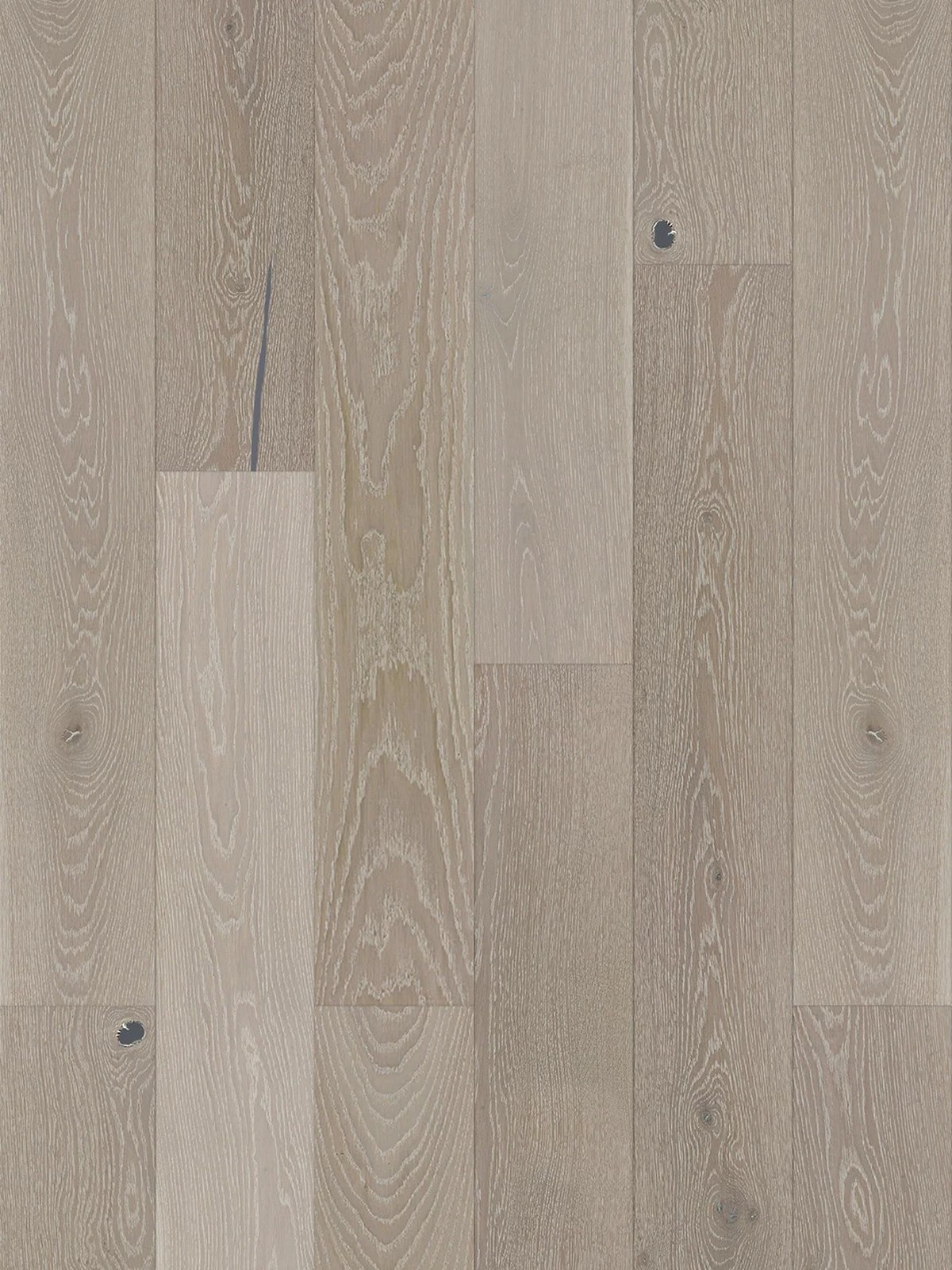 Stejar Cardamomo Grande