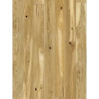 Stejar Conchi Piccolo