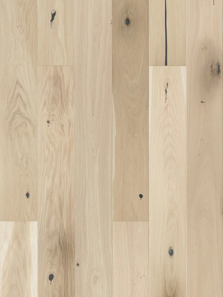 Stejar Creme Brulee Grande