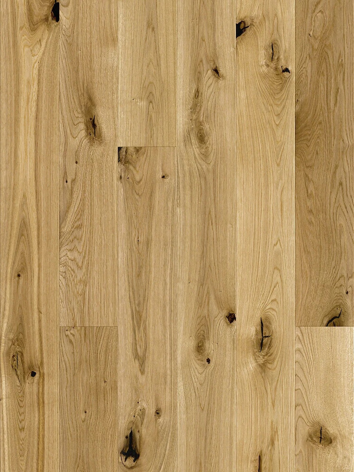 Stejar Grand Canyon Grande