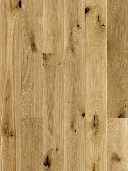 Stejar Grand Canyon Grande