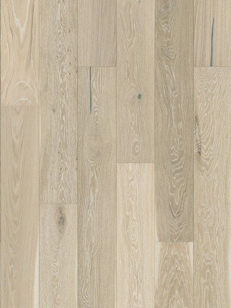 Stejar Grissini Grande