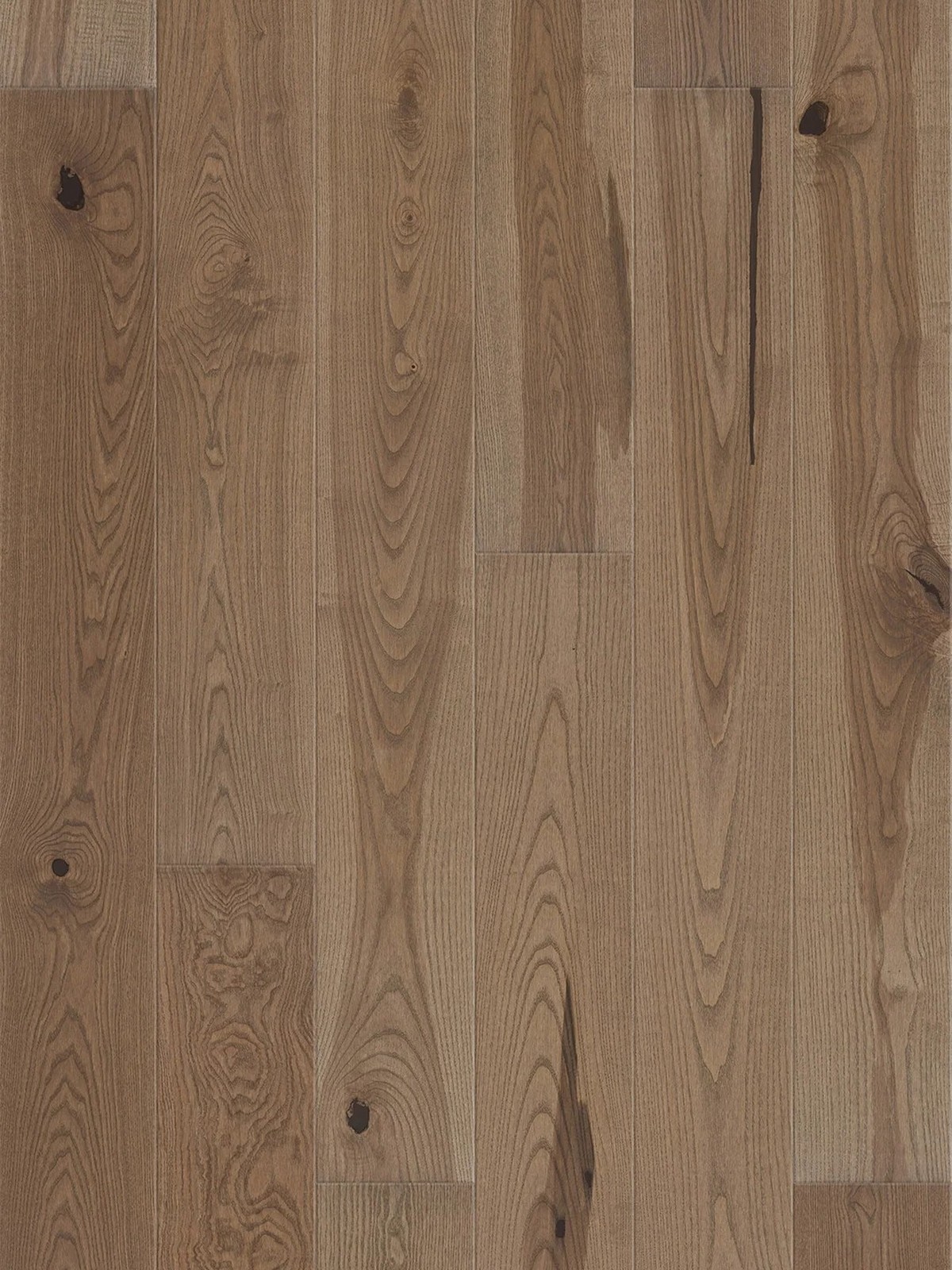 Frasin Hazelnut Grande