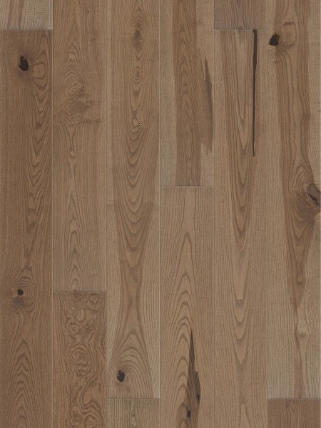 Frasin Hazelnut Grande