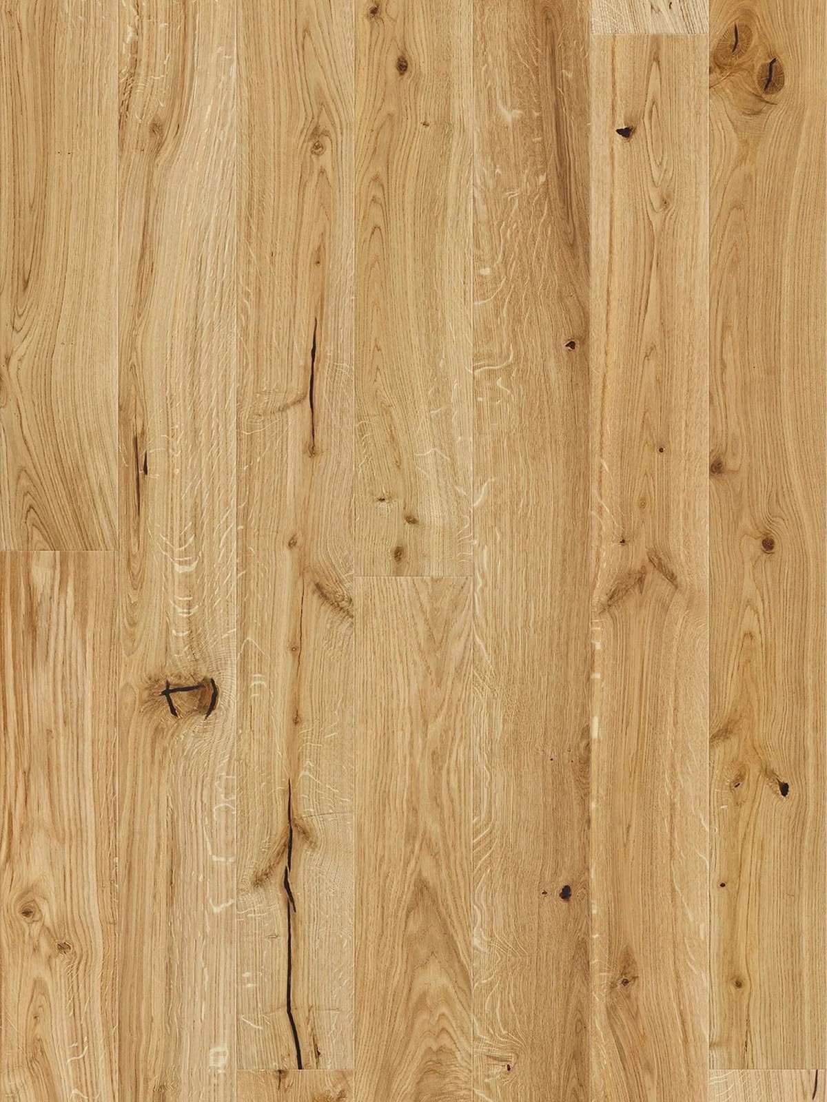 Stejar Lager Piccolo