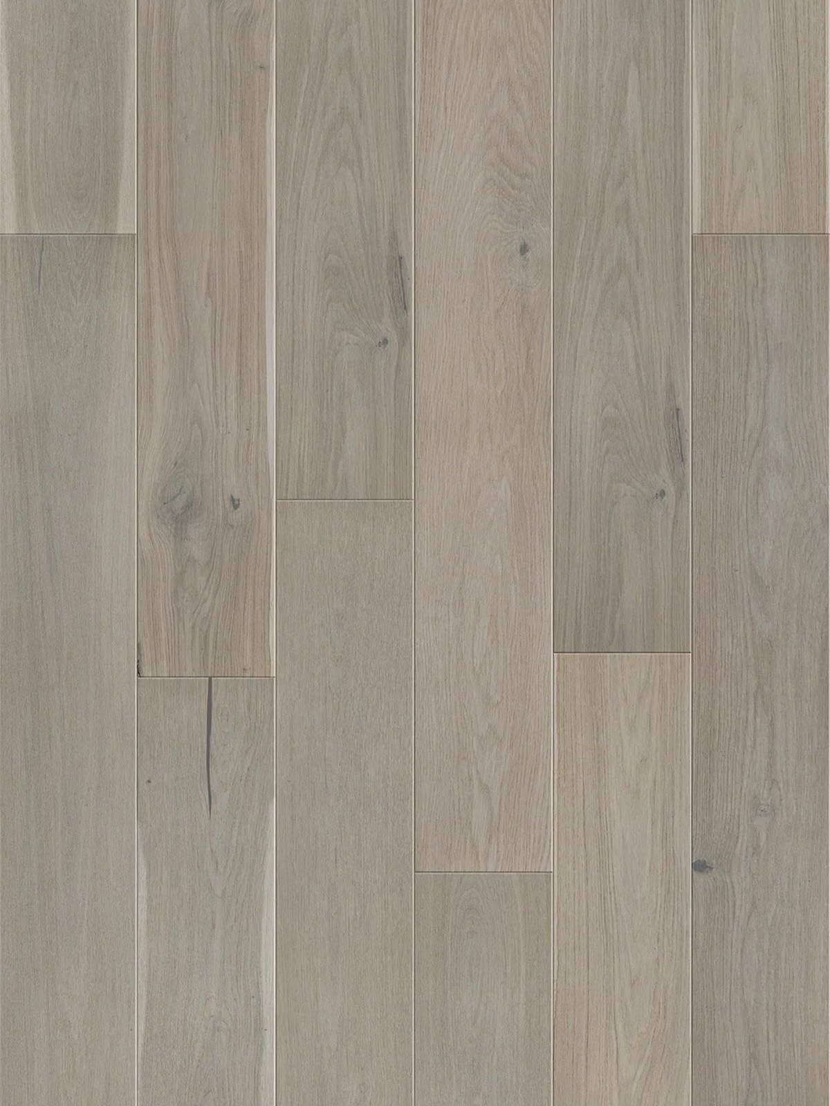 Stejar Marzipan Muffin Grande