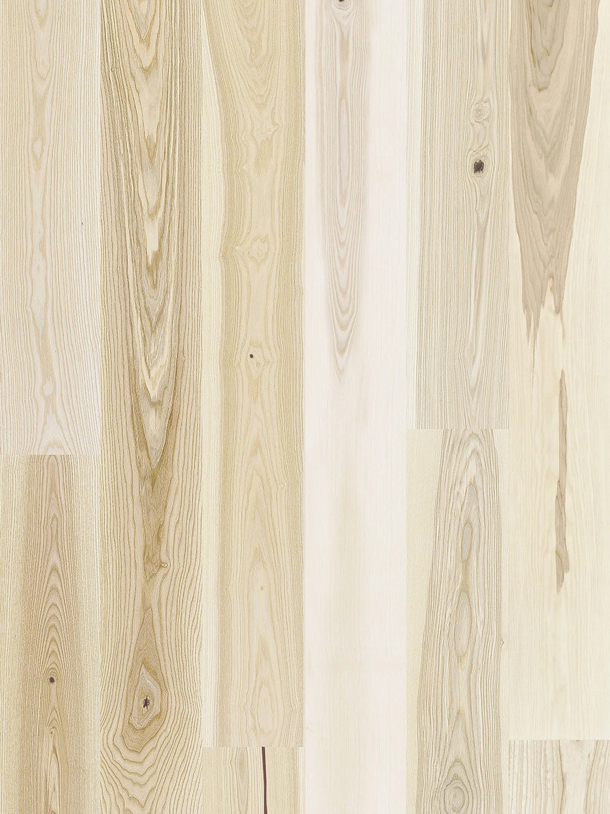 Frasin Milkshake Grande