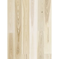 Frasin Milkshake Grande