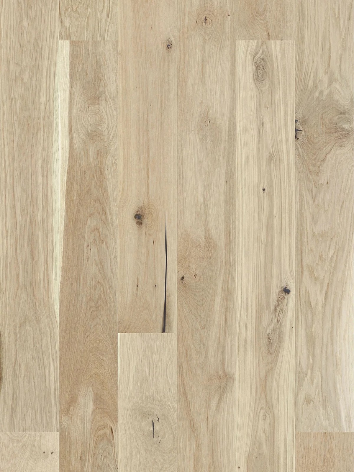 Stejar Mont Blanc Grande