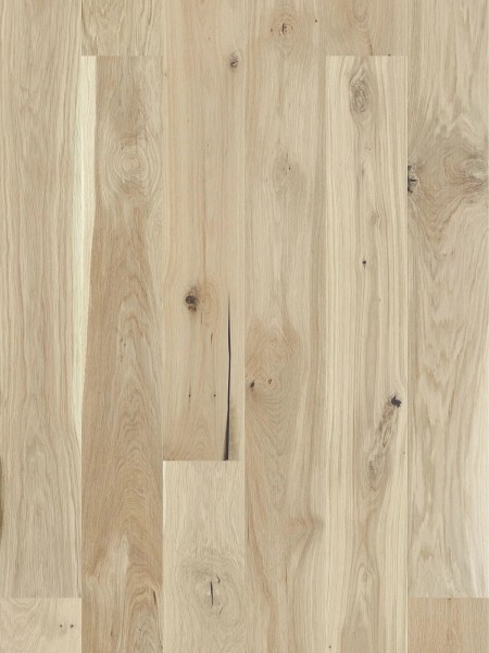 Stejar Mont Blanc Grande