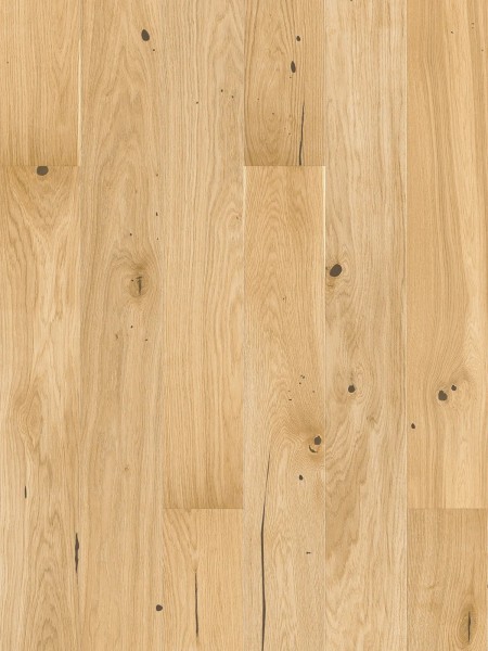 Stejar Oat Cookies Grande