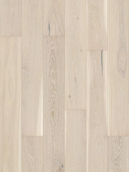 Stejar Pudding Grande