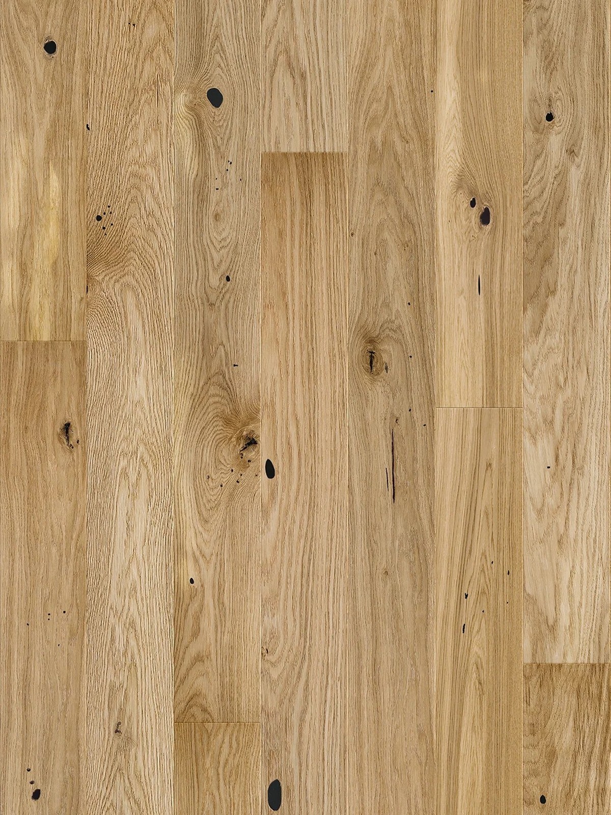 Stejar Raisins Medio