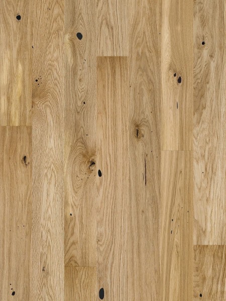 Stejar Raisins Medio