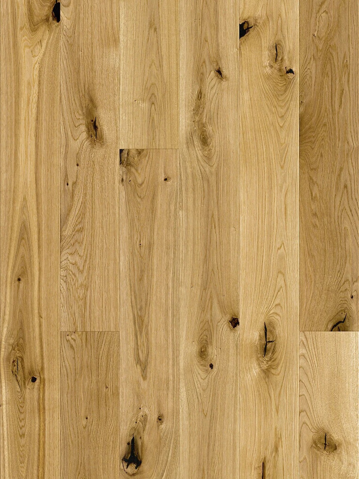 Stejar Raisins Grande