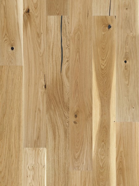 Stejar Sahara Grande