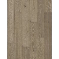 Stejar Tartufo Grande