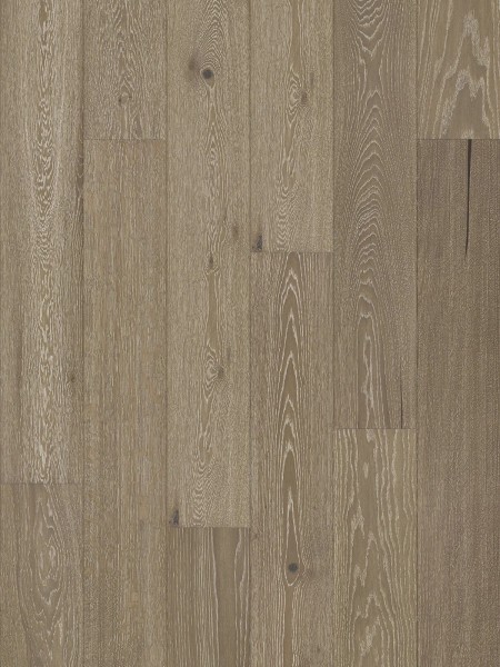 Stejar Tartufo Grande