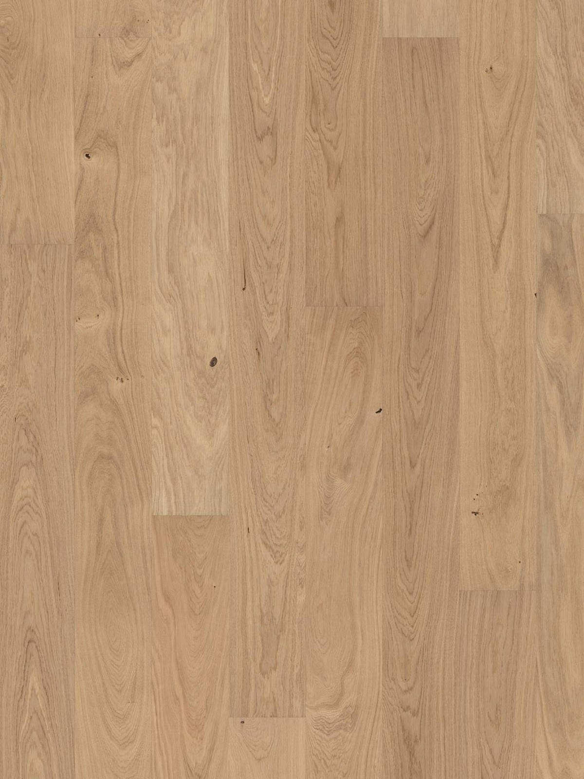 Parchet triplustratificat Stejar Anemone