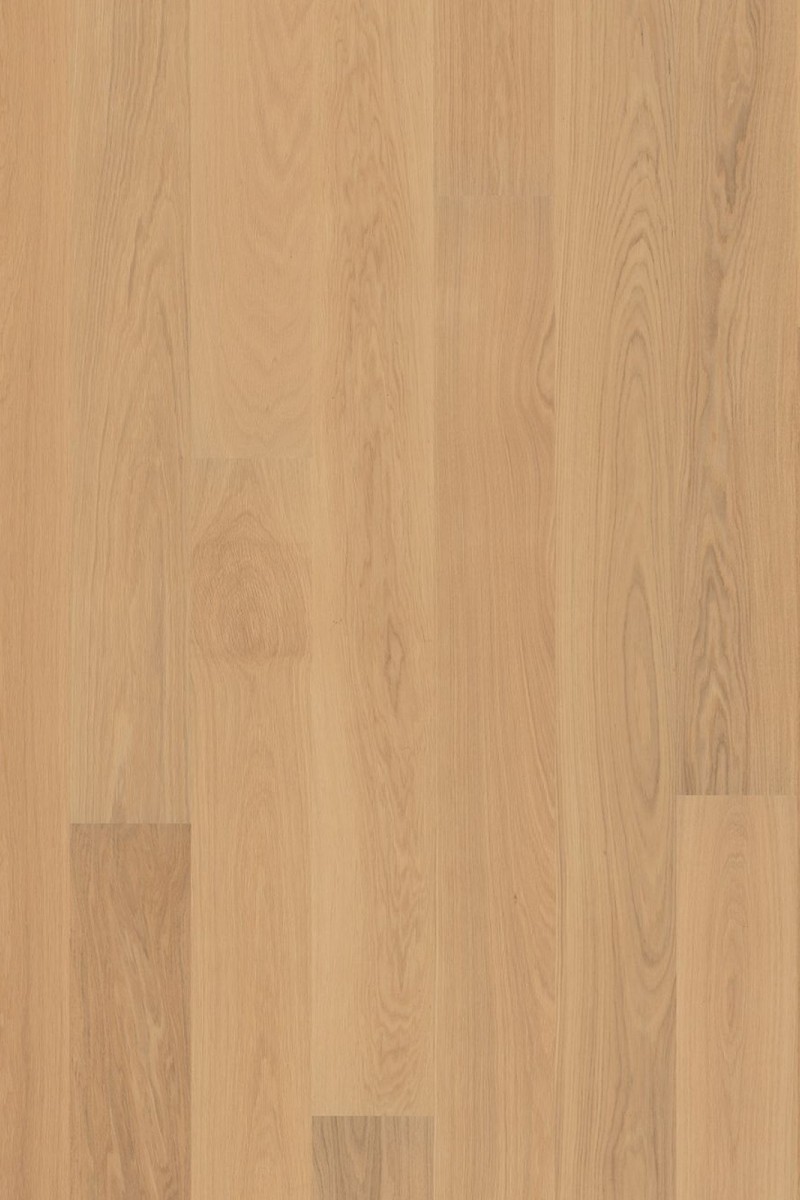 Dusumea Stejar Natur New Arctic