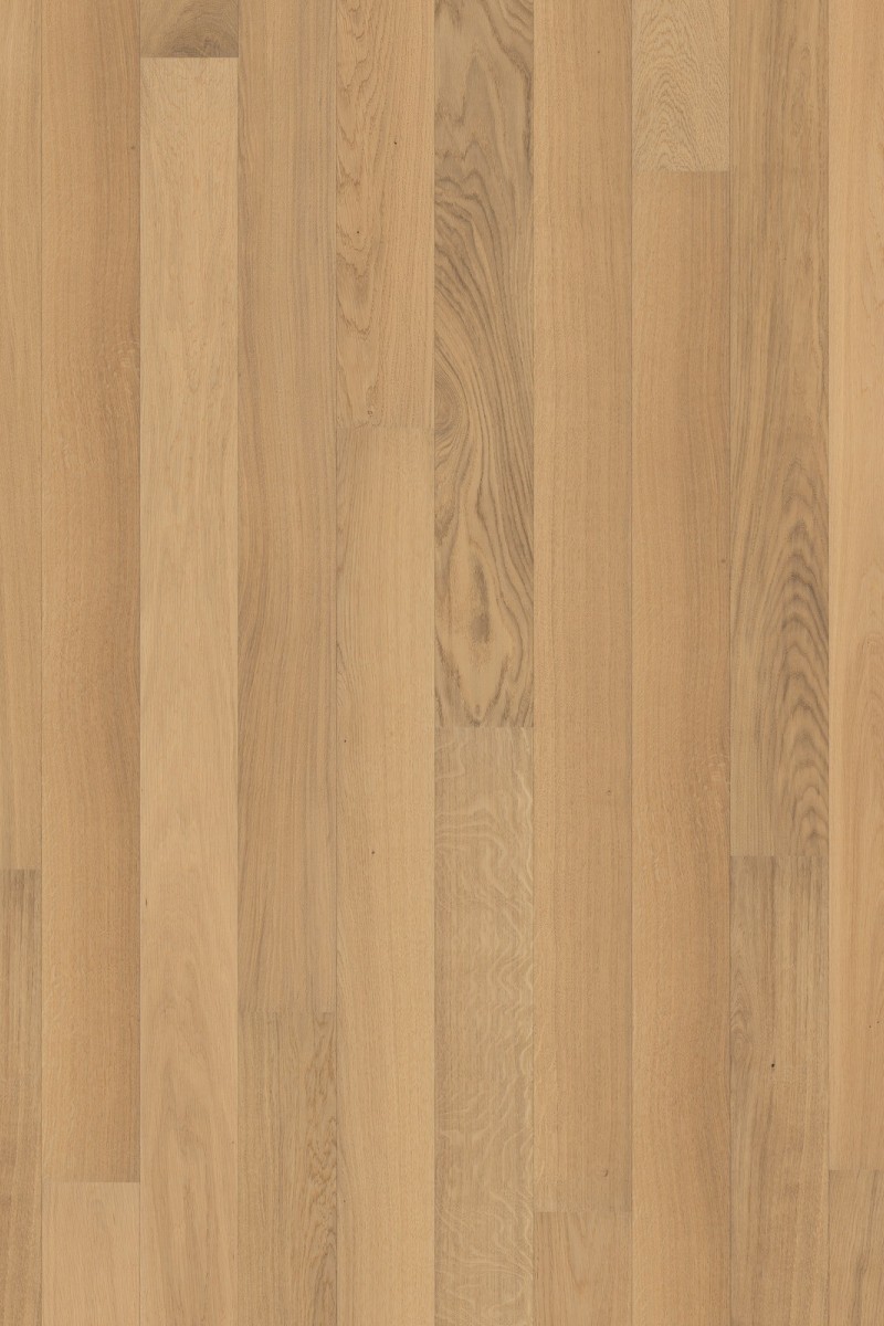 Dusumea Stejar Story New Arctic