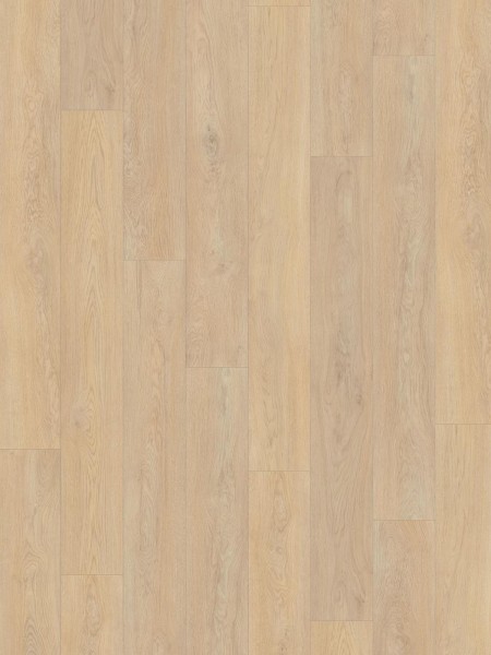 SPC Fusion 6mm Long Pank