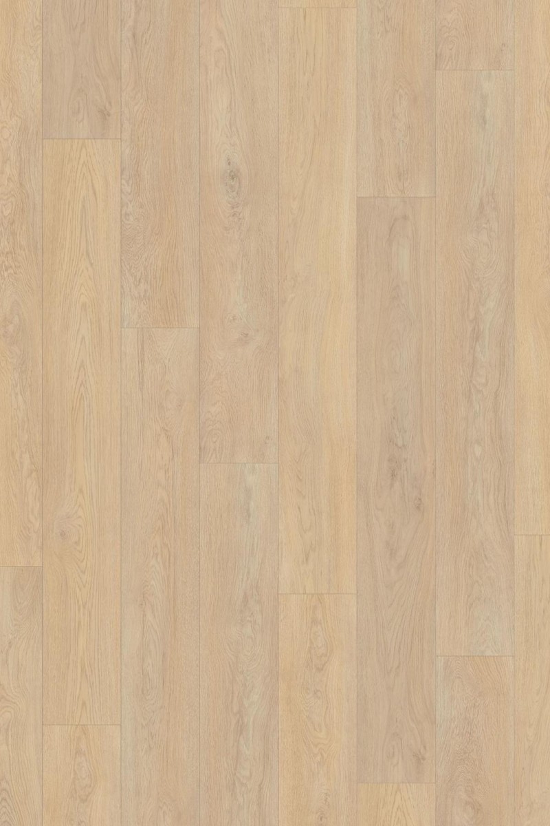 SPC Fusion 6mm Long Pank