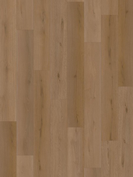 SPC Intention 6mm Long Pank