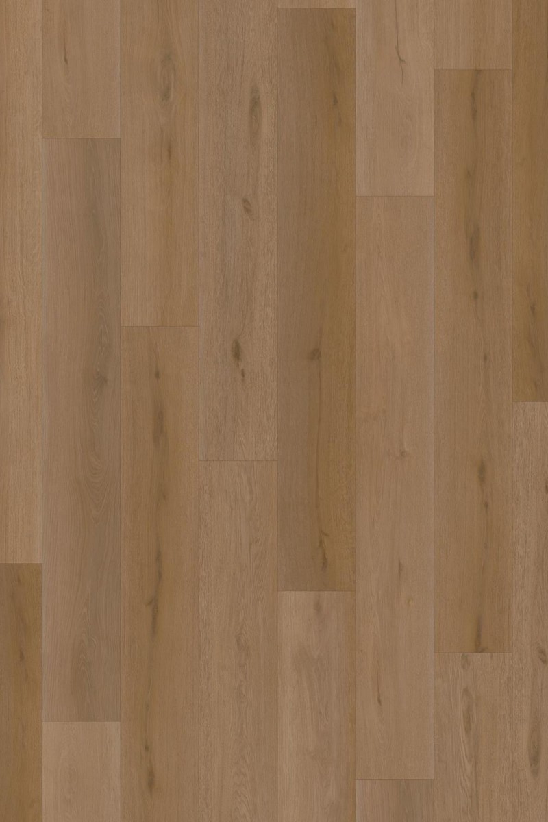 SPC Intention 6mm Long Pank