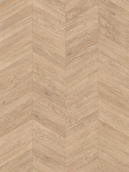 SPC Vision 6mm Chevron