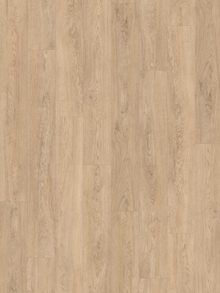 SPC Vision 6mm Long Pank