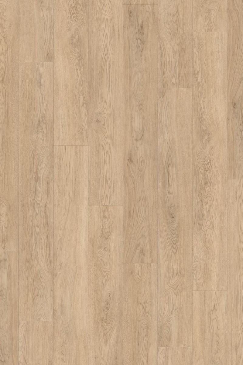 SPC Vision 6mm Long Pank