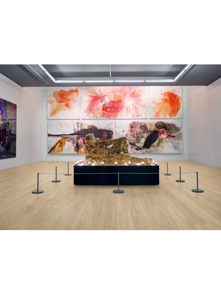 SPC Vision 6mm Long Pank