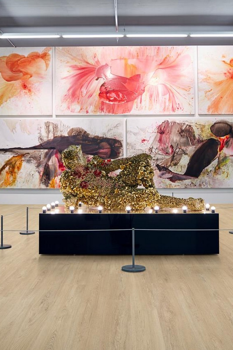 SPC Vision 6mm Long Pank