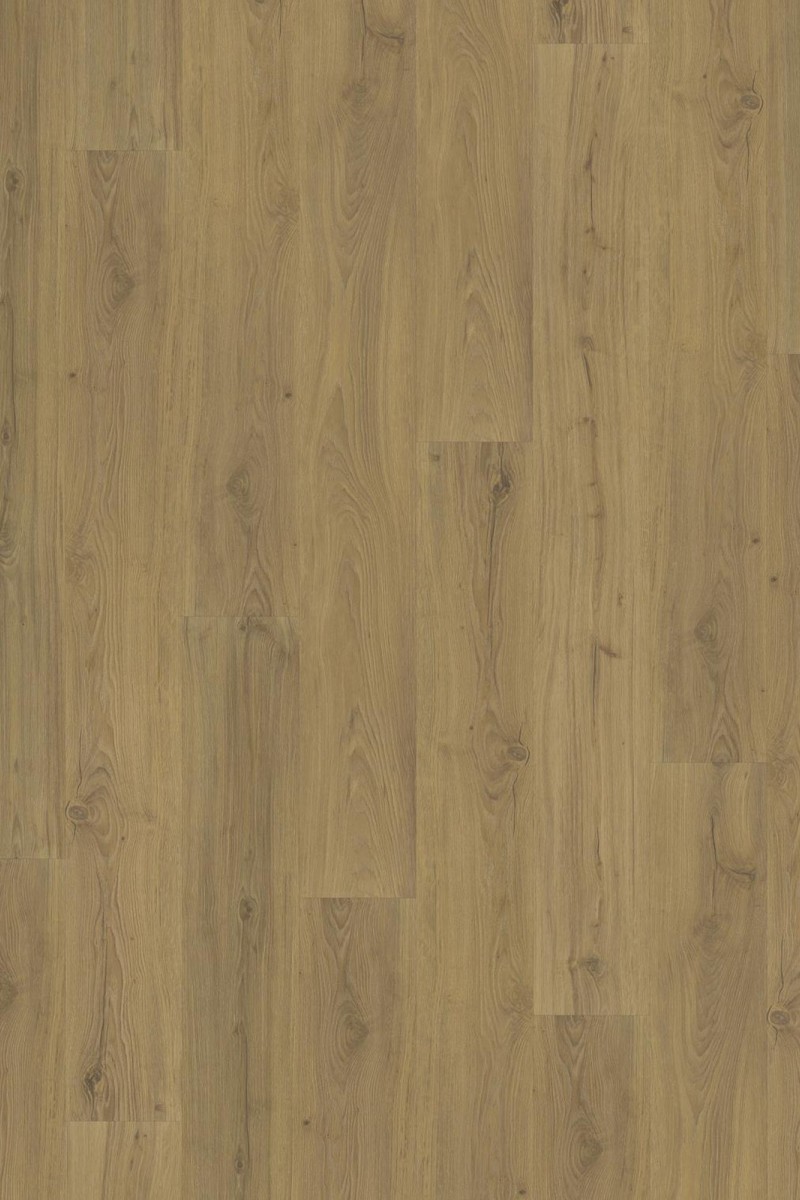 SPC Impression Foxall 6mm