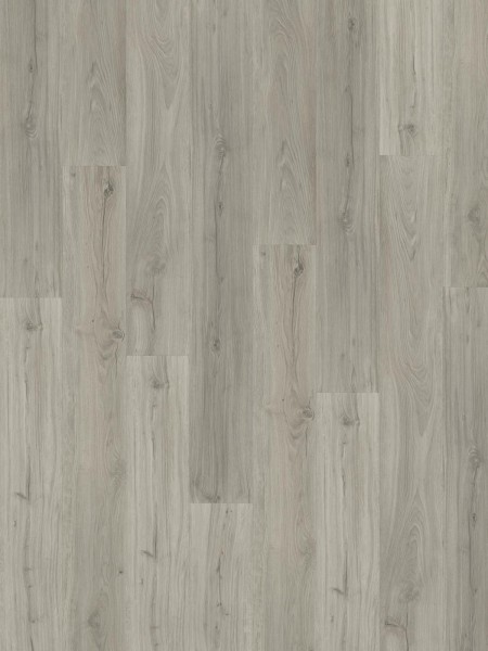 SPC Impression Laponia 6mm