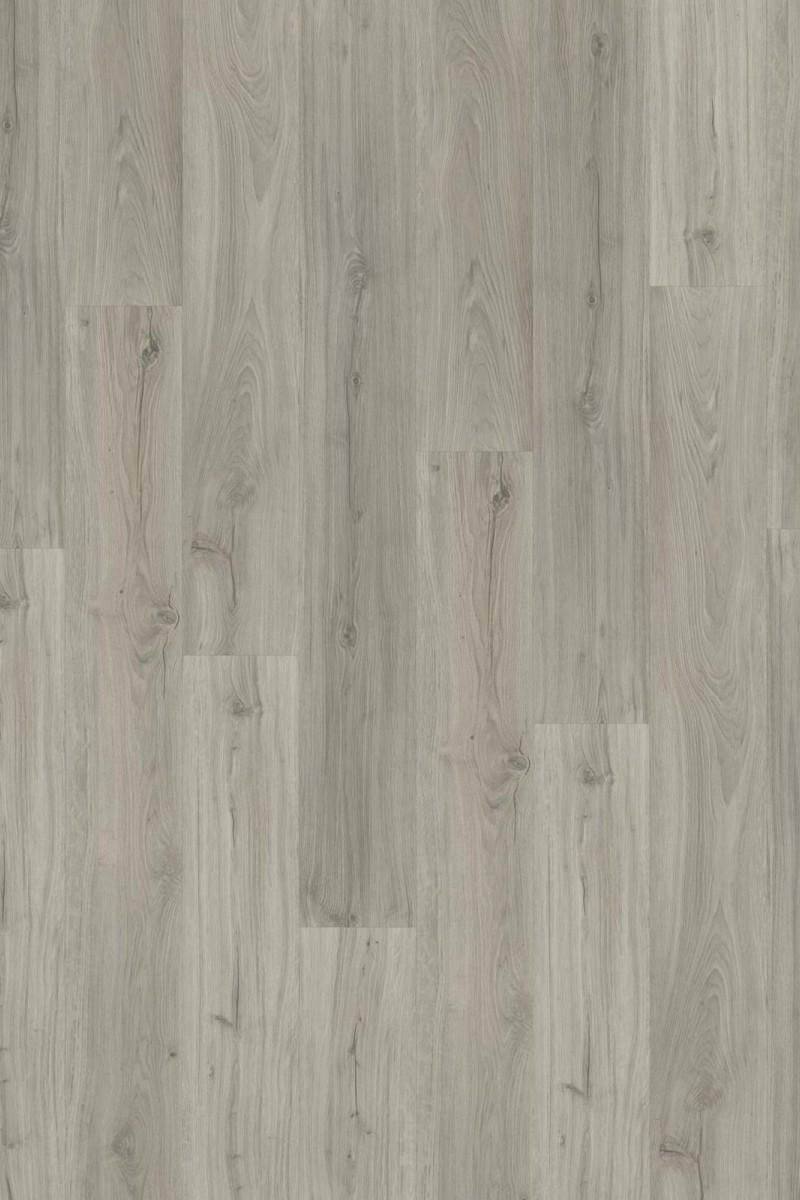 SPC Impression Laponia 6mm